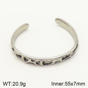 2BA201242aivb-764  Stainless Steel Bangle