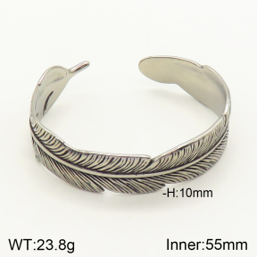 2BA201248aivb-764  Stainless Steel Bangle