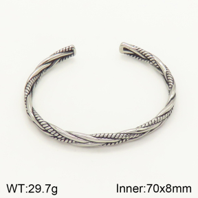 2BA201268aivb-764  Stainless Steel Bangle