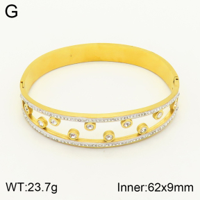 2BA401546vbpb-354  Stainless Steel Bangle