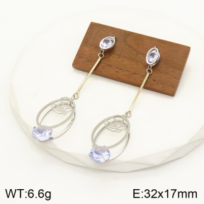 2E4003521vbnb-712  Stainless Steel Earrings