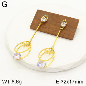 2E4003522bbov-712  Stainless Steel Earrings