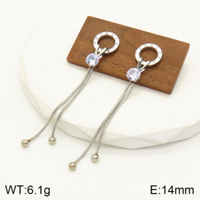 2E4003524vbnb-712  Stainless Steel Earrings