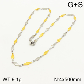 2N2004223vbll-368  Stainless Steel Necklace