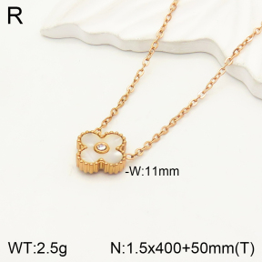 2N3001741vbmb-747  Stainless Steel Necklace