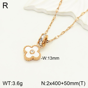 2N3001750bbov-747  Stainless Steel Necklace