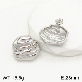 2E2004195bhva-379  Stainless Steel Earrings