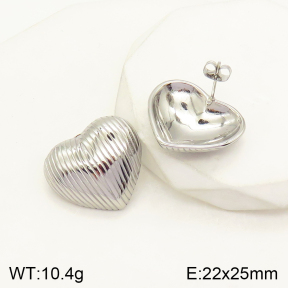 2E2004201bhva-379  Stainless Steel Earrings