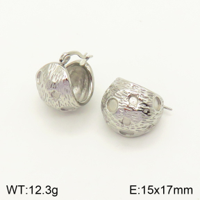 2E2004205bhva-379  Stainless Steel Earrings