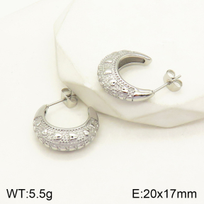 2E2004207vbpb-379  Stainless Steel Earrings