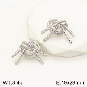 2E2004209bhva-379  Stainless Steel Earrings