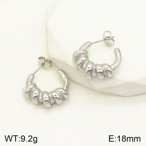 2E2004211vbpb-379  Stainless Steel Earrings