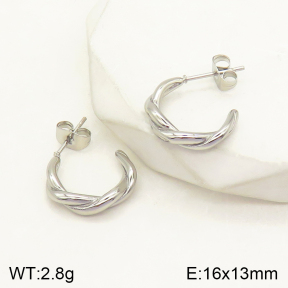 2E2004213vbpb-379  Stainless Steel Earrings