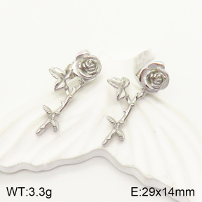 2E2004217vhha-379  Stainless Steel Earrings