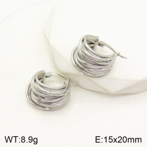 2E2004218bhva-379  Stainless Steel Earrings