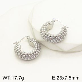 2E2004219vhov-379  Stainless Steel Earrings