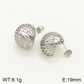 2E2004220bhva-379  Stainless Steel Earrings