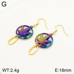 2E2004223aajl-698  Stainless Steel Earrings