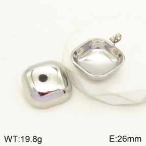 2E2004242ablb-436  Stainless Steel Earrings