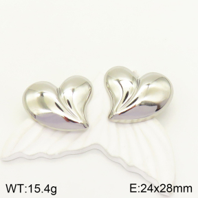 2E2004244ablb-436  Stainless Steel Earrings