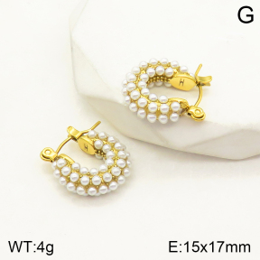 2E3002370vhmv-379  Stainless Steel Earrings