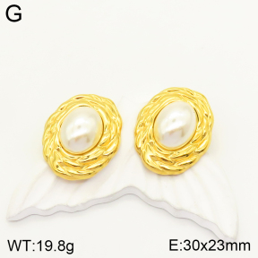 2E3002419vbnb-436  Stainless Steel Earrings