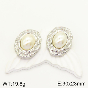 2E3002420vbmb-436  Stainless Steel Earrings