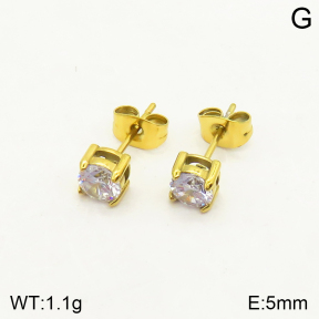 2E4003526vbmb-379  Stainless Steel Earrings