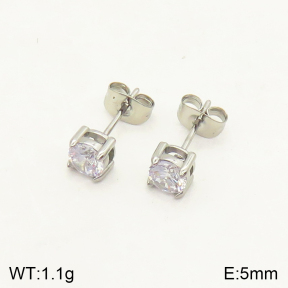 2E4003527ablb-379  Stainless Steel Earrings