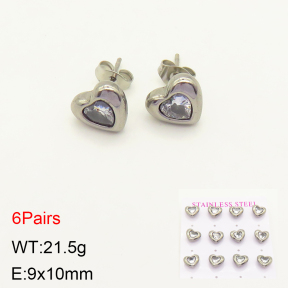 2E4003567vhpl-436  Stainless Steel Earrings