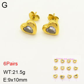 2E4003569aiil-436  Stainless Steel Earrings