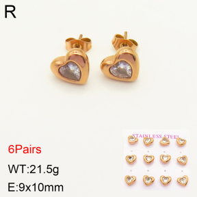 2E4003570aikl-436  Stainless Steel Earrings