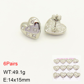 2E4003574bika-436  Stainless Steel Earrings