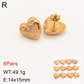 2E4003575bipa-436  Stainless Steel Earrings