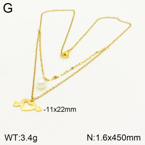 2N3001815aakl-698  Stainless Steel Necklace