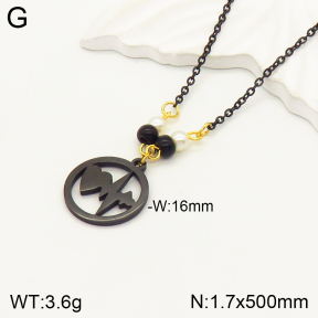 2N3001817aakl-698  Stainless Steel Necklace