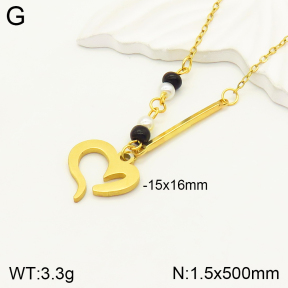 2N3001818aakl-698  Stainless Steel Necklace