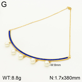 2N3001820bhva-698  Stainless Steel Necklace