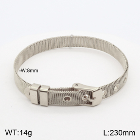 2B2002890vbnb-475  Stainless Steel Bracelet