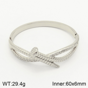 2BA201300ahjb-434  Stainless Steel Bangle