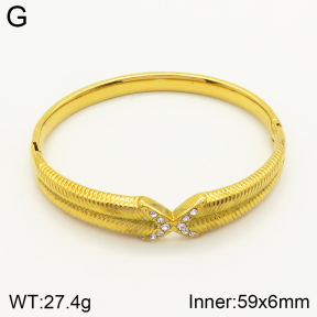 2BA401556bhil-434  Stainless Steel Bangle