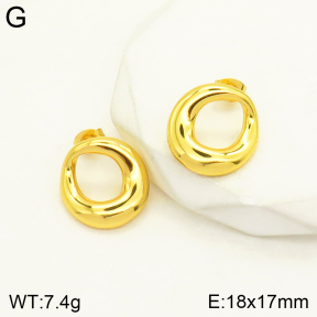 2E2004230vbmb-434  Stainless Steel Earrings