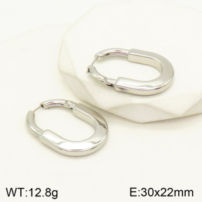 2E2004236bvpl-434  Stainless Steel Earrings