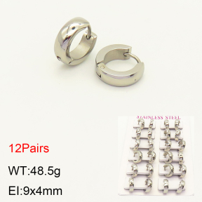 2E2004253akia-387  Stainless Steel Earrings