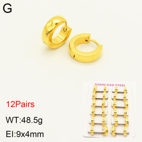 2E2004254alka-387  Stainless Steel Earrings