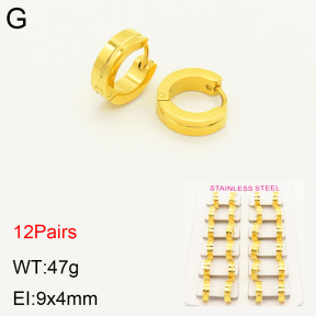 2E2004255alka-387  Stainless Steel Earrings