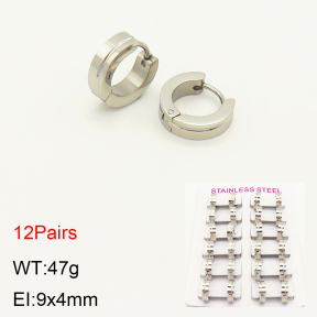 2E2004256akia-387  Stainless Steel Earrings