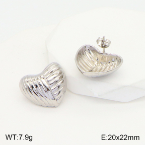 2E2004269aaio-475  Stainless Steel Earrings