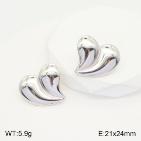 2E2004270aaio-475  Stainless Steel Earrings