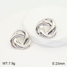 2E2004272aaio-475  Stainless Steel Earrings